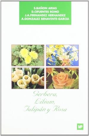GERBERA, LILIUM, TULIPAN Y ROSA | 9788471144461 | BAÑON, S | Llibreria La Gralla | Librería online de Granollers