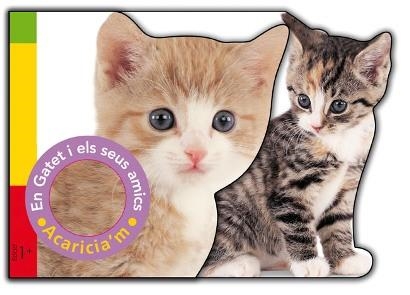 GATET I ELS SEUS AMICS, EN (ACARICIA'M) | 9788479423193 | PRIDDY, ROGER | Llibreria La Gralla | Librería online de Granollers