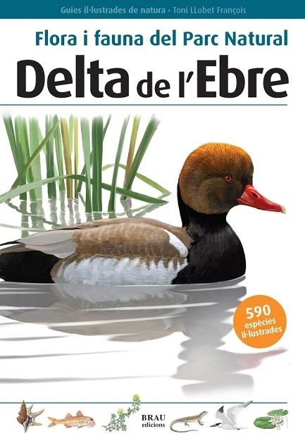 FLORA I FAUNA DEL PARC NATURAL DEL DELTA DE L'EBRE | 9788496905184 | LLOBET FRANÇOIS, TONI | Llibreria La Gralla | Llibreria online de Granollers