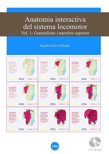 ANATOMIA INTERACTIVA DEL SISTEMA LOCOMOTOR I. GENERALITATS I MEMBRE SUPERIOR +CD | 9788447533367 | TORRES GALLARDO, BEGOÑA | Llibreria La Gralla | Llibreria online de Granollers