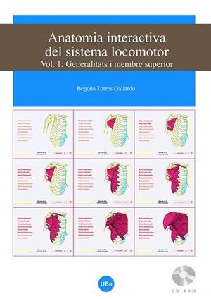 ANATOMIA INTERACTIVA DEL SISTEMA LOCOMOTOR I. GENERALITATS I MEMBRE SUPERIOR +CD | 9788447533367 | TORRES GALLARDO, BEGOÑA | Llibreria La Gralla | Llibreria online de Granollers