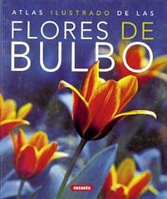 FLORES DE BULBO | 9788430570324 | AA.VV. | Llibreria La Gralla | Librería online de Granollers