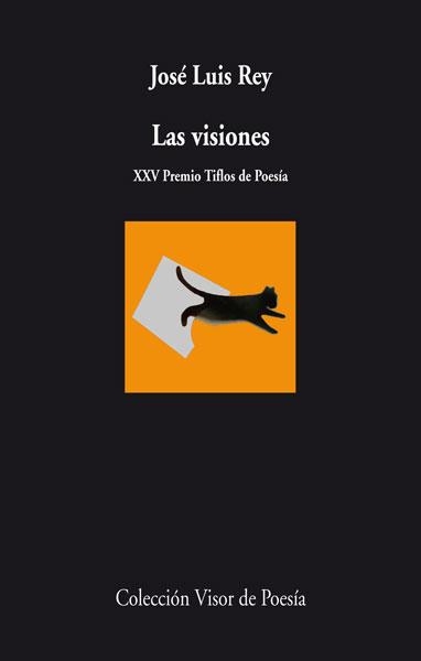 VISIONES, LAS | 9788498958164 | REY, JOSÉ LUIS | Llibreria La Gralla | Librería online de Granollers