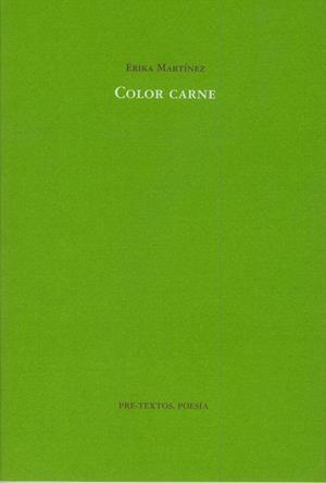 COLOR CARNE | 9788481919561 | MARTINEZ, ERIKA | Llibreria La Gralla | Librería online de Granollers