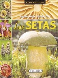 SETAS, LAS (MINIPRÁCTICOS) | 9788498068061 | TODOLIBRO, EQUIPO | Llibreria La Gralla | Librería online de Granollers