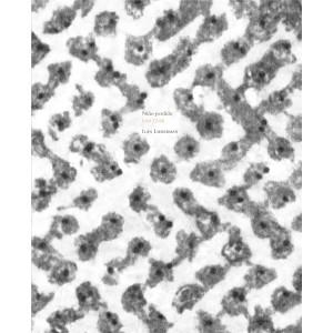 NIÑO PERDIDO | 9788492480548 | LIEBERMAN, ILAN | Llibreria La Gralla | Llibreria online de Granollers