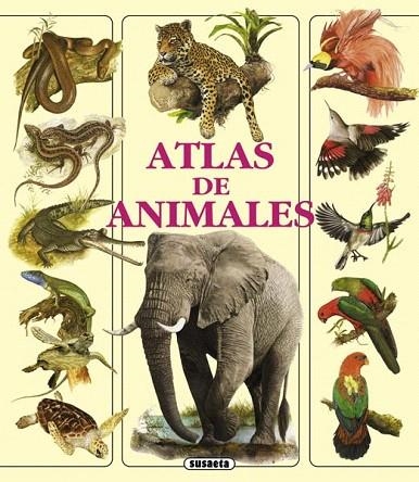 ATLAS DE ANIMALES | 9788467704310 | VV.AA | Llibreria La Gralla | Llibreria online de Granollers
