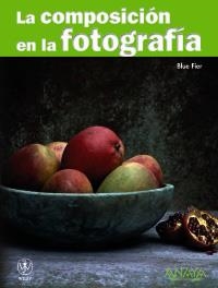 COMPOSICIÓN EN LA FOTOGRAFÍA, LA | 9788441526983 | FIER, BLUE | Llibreria La Gralla | Llibreria online de Granollers