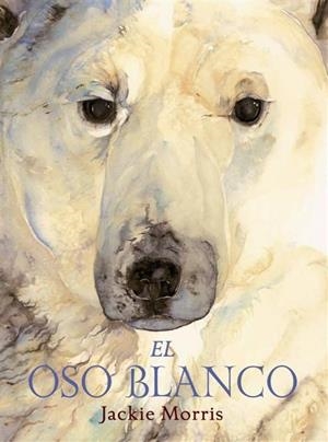 OSO BLANCO, EL | 9788489825741 | MORRIS, JACKIE | Llibreria La Gralla | Librería online de Granollers
