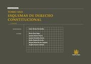 ESQUEMAS DE DERECHO CONSTITUCIONAL TOMO XXII | 9788498769258 | ITZÍAR GÓMEZ FERNÁNDEZ/MARÍA DÍAZ CREGO/IGNACIO GARCÍA VITORIA/IGNACIO GONZÁLEZ GARCÍA/EMILIO PAJARE | Llibreria La Gralla | Librería online de Granollers