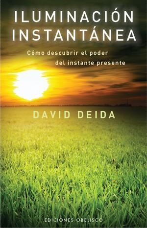 ILUMINACION INSTANTANEA | 9788497776882 | DEIDA, DAVID | Llibreria La Gralla | Librería online de Granollers