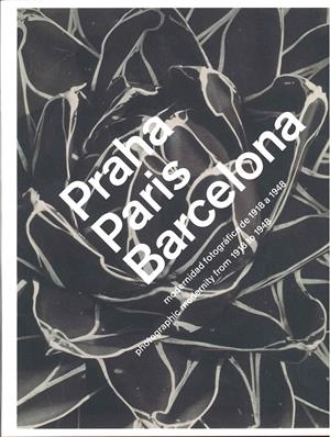 PARIS PRAGA BARCELONA (ESP) | 9788492841028 | A.A.V.V. | Llibreria La Gralla | Librería online de Granollers