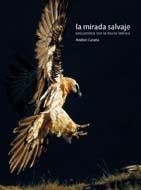 MIRADA SALVAJE, LA | 9788498012286 | CANELA, ANDONI | Llibreria La Gralla | Librería online de Granollers