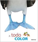 A TODO COLOR | 9786074003741 | VARIOS AUTORES | Llibreria La Gralla | Librería online de Granollers