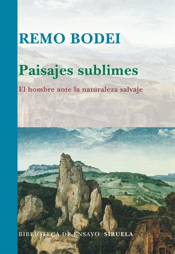 PAISAJES SUBLIMES | 9788498414080 | BODEI, REMO | Llibreria La Gralla | Llibreria online de Granollers