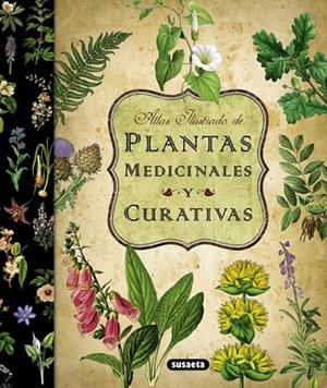 ATLAS ILUSTRADO DE PLANTAS MEDICINALES Y CURATIVAS | 9788467712575 | VV.AA. | Llibreria La Gralla | Llibreria online de Granollers