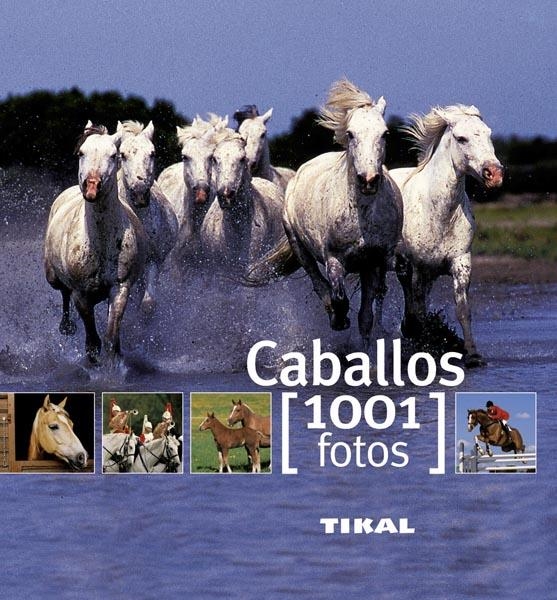 CABALLOS 1001 FOTOS | 9788499280875 | VV.AA. | Llibreria La Gralla | Librería online de Granollers