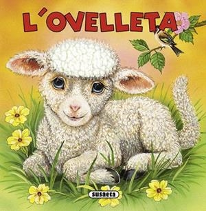 OVELLETA (SUAUS) | 9788467713879 | HADERLEIN, UTE/EISELE, MONIKA | Llibreria La Gralla | Llibreria online de Granollers