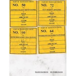 MY PERRO RANO | 9788492480944 | PALOS, MAURICIO | Llibreria La Gralla | Llibreria online de Granollers