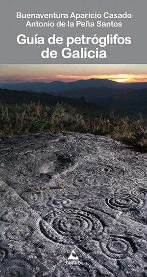 GUIA DE PETROGLIFOS | 9788482893754 | APARICIO, BUENAVENTURA | Llibreria La Gralla | Llibreria online de Granollers