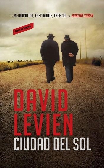 CIUDAD DEL SOL | 9788439727385 | LEVIEN, DAVID | Llibreria La Gralla | Librería online de Granollers