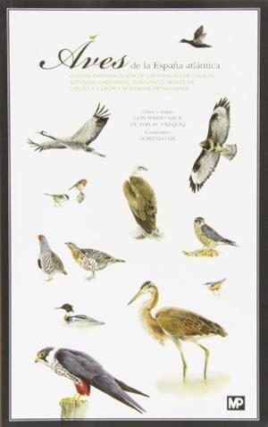 AVES DE LA ESPAÑA ATLÁNTICA | 9788484766483 | ARCE, LUIS MARIO; VAZQUEZ, VICTOR M. | Llibreria La Gralla | Llibreria online de Granollers