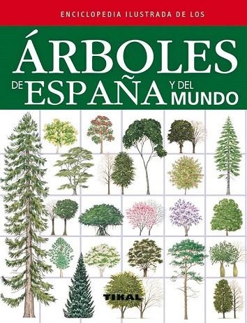 ENCICLOPEDIA ILUSTRADA DE LOS ÁRBOLES DE ESPAÑA Y DEL MUNDO | 9788499281841 | RUSSELL/TONY/CUTLER/CATHERINE/WALTERS/MARTIN | Llibreria La Gralla | Librería online de Granollers