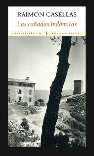 CAÑADAS INDÓMITAS, LAS | 9788494147555 | CASELLAS, RAIMON | Llibreria La Gralla | Librería online de Granollers