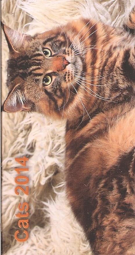 AGENDA 2014 CATS | 8031984046755 | TAVECCHI | Llibreria La Gralla | Llibreria online de Granollers