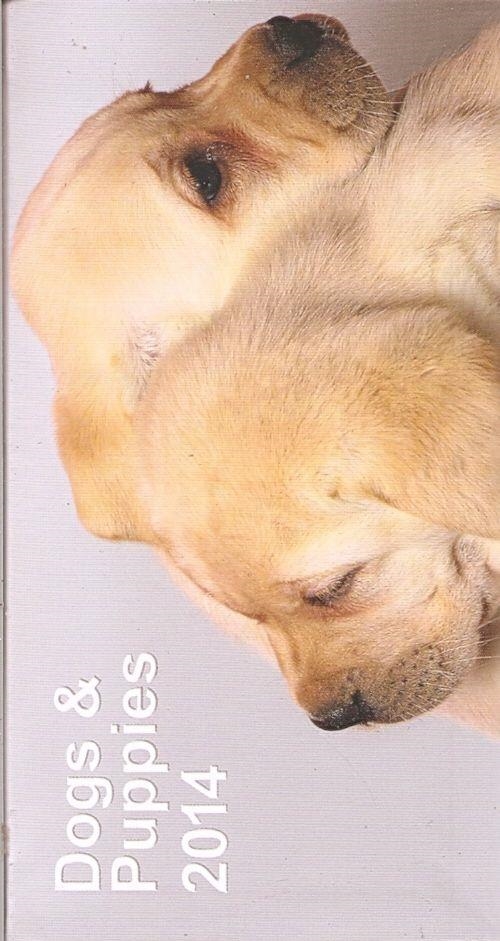 AGENDA 2014 DOGS & PUPPIES | 8031984046823 | TAVECCHI | Llibreria La Gralla | Llibreria online de Granollers