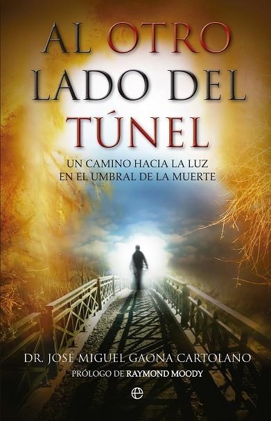 AL OTRO LADO DEL TÚNEL | 9788490600276 | GAONA, JOSÉ MIGUEL | Llibreria La Gralla | Llibreria online de Granollers