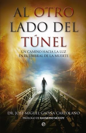 AL OTRO LADO DEL TÚNEL | 9788490600276 | GAONA, JOSÉ MIGUEL | Llibreria La Gralla | Librería online de Granollers