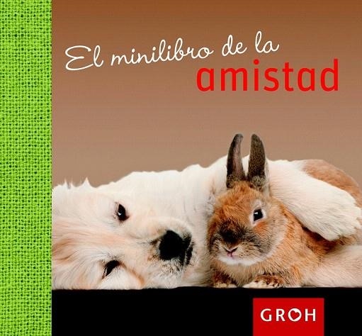 MINILIBRO DE LA AMISTAD | 9788490680094 | Llibreria La Gralla | Librería online de Granollers