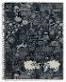 LLIBRETA NBOOK A4 KUKU WOLFMIX 2014 | 8422593478127 | MQR47812 | Llibreria La Gralla | Llibreria online de Granollers