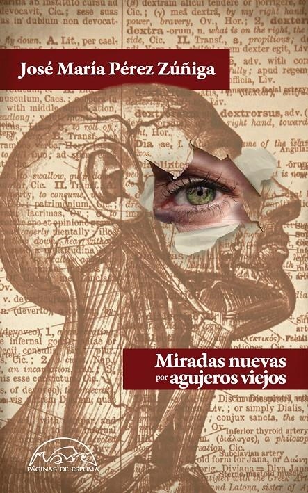 MIRADAS NUEVAS POR AGUJEROS VIEJOS | 9788483931554 | PÉREZ ZÚÑIGA, JOSÉ MARÍA | Llibreria La Gralla | Librería online de Granollers