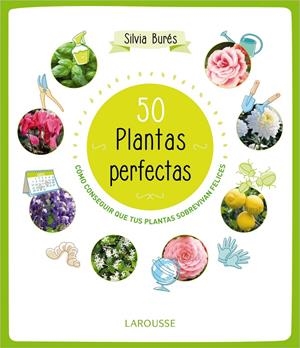50 PLANTAS PERFECTAS | 9788415785897 | BURÉS, SILVIA | Llibreria La Gralla | Librería online de Granollers