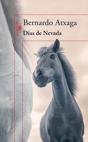 DÍAS DE NEVADA | 9788420415987 | ATXAGA, BERNARDO | Llibreria La Gralla | Llibreria online de Granollers