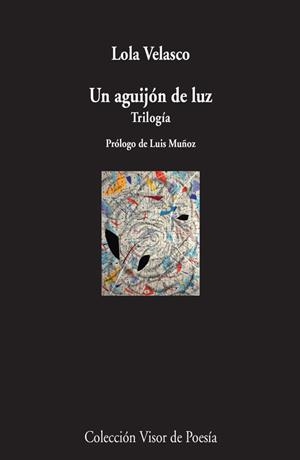 AGUIJÓN DE LUZ, UN | 9788498958614 | VELASCO, LOLA | Llibreria La Gralla | Librería online de Granollers