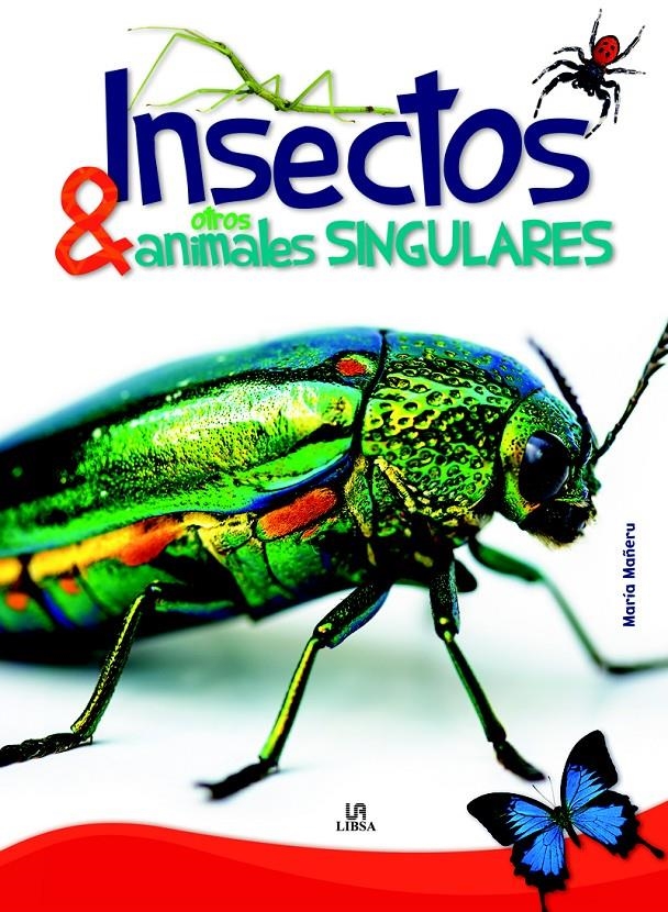 INSECTOS Y OTROS ANIMALES SINGULARES | 9788466227186 | MAÑERU, MARÍA | Llibreria La Gralla | Librería online de Granollers