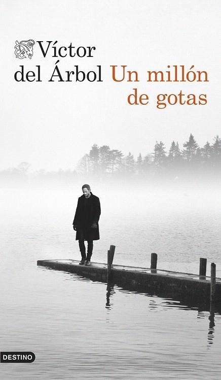 MILLÓN DE GOTAS, UN | 9788423348138 | DEL ÁRBOL, VÍCTOR | Llibreria La Gralla | Librería online de Granollers