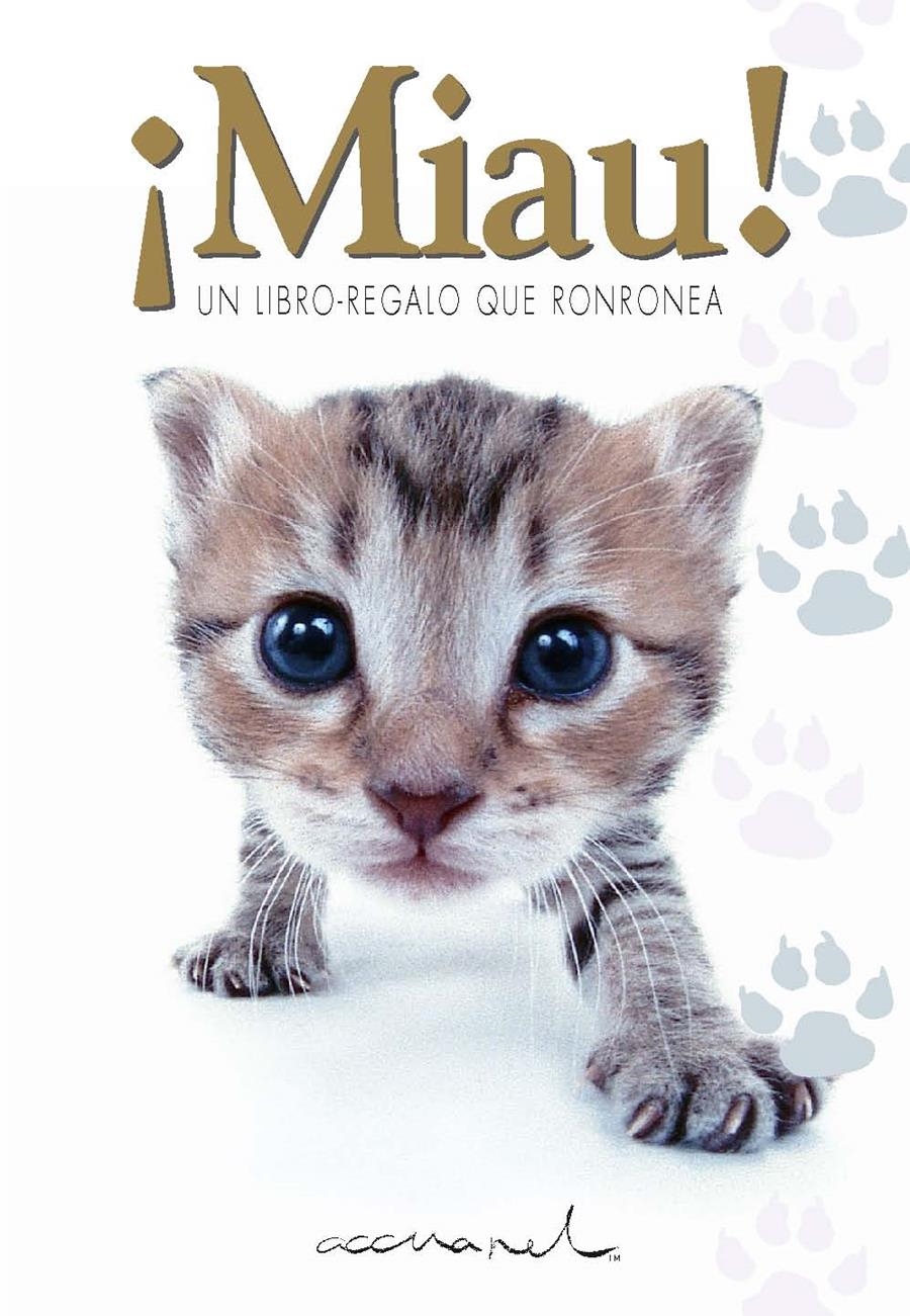 ¡MIAU! | 9788468750880 | EXLEY, HELEN | Llibreria La Gralla | Librería online de Granollers