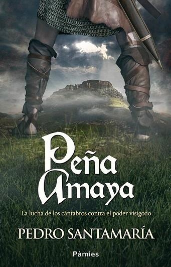 PEÑA AMAYA | 9788415433439 | SANTAMARÍA FERNÁNDEZ, PEDRO | Llibreria La Gralla | Librería online de Granollers