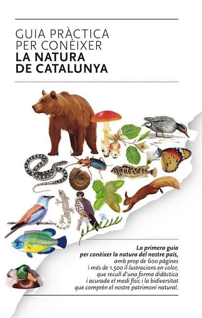 GUIA PRACTICA PER CONEIXER LA NATURA DE CATALUNYA | 9788493662141 | A.A.V.V. | Llibreria La Gralla | Llibreria online de Granollers