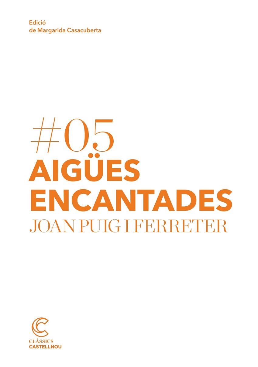 AIGÜES ENCANTADES | 9788498049954 | PUIG I FERRETER, JOAN | Llibreria La Gralla | Librería online de Granollers