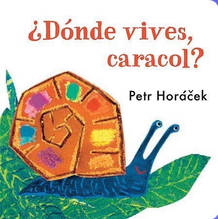 DÓNDE VIVES CARACOL? | 9788426140777 | HORÁCEK, PETR | Llibreria La Gralla | Llibreria online de Granollers