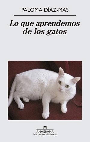 LO QUE APRENDEMOS DE LOS GATOS | 9788433997807 | DÍAZ MAS, PALOMA | Llibreria La Gralla | Llibreria online de Granollers