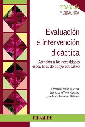 EVALUACIÓN E INTERVENCIÓN DIDÁCTICA | 9788436832198 | PEÑAFIEL MARTÍNEZ, FERNANDO/TORRES GONZÁLEZ, JOSÉ ANTONIO/FERNÁNDEZ BATANERO, JOSÉ MARÍA | Llibreria La Gralla | Llibreria online de Granollers