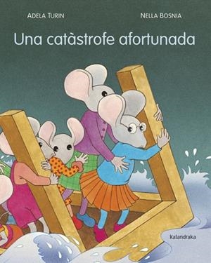 CATÀSTROFE AFORTUNADA, UNA | 9788484648895 | TURIN, ADELA/BOSNIA, NELLA | Llibreria La Gralla | Librería online de Granollers