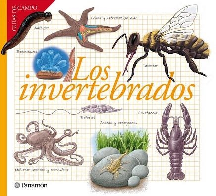 INVERTEBRADOS, LOS | 9788434240599 | BARRES MANUEL, JOSEP M. | Llibreria La Gralla | Librería online de Granollers