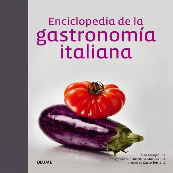 ENCICLOPEDIA DE LA GASTRONOMÍA ITALIANA | 9788416138098 | MANGOLINI, MIA | Llibreria La Gralla | Llibreria online de Granollers